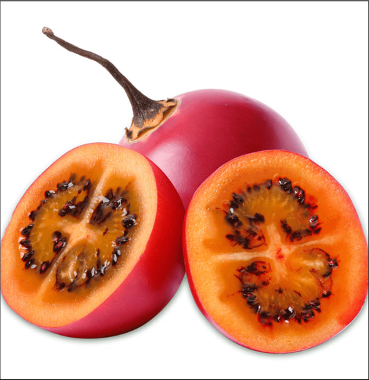 Tamarillo 11 LBS PKG